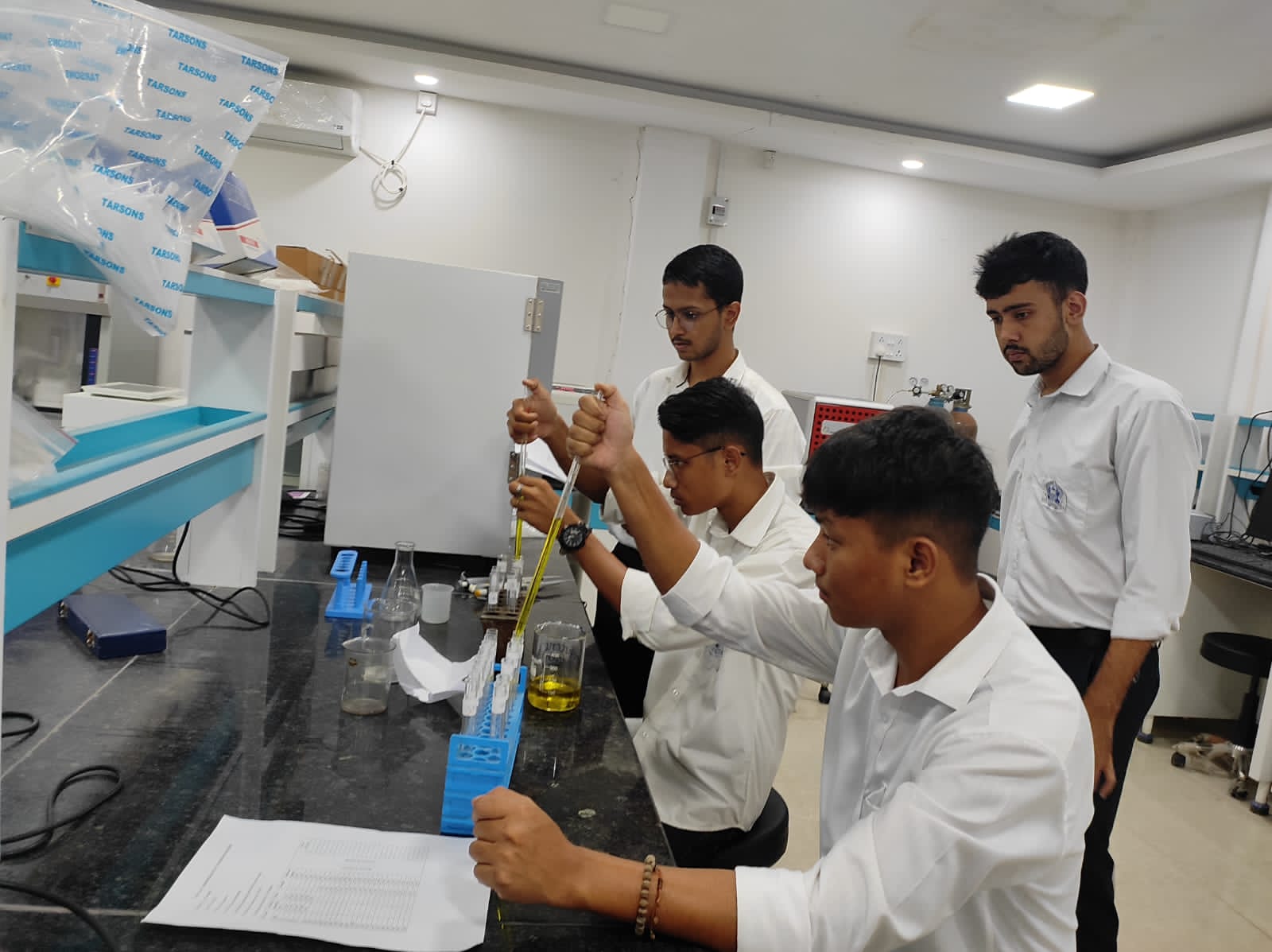 Students undertaking projects