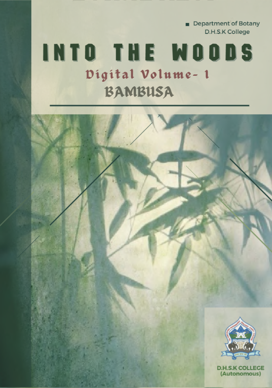 Into The Woods Digital Magazine 2025
